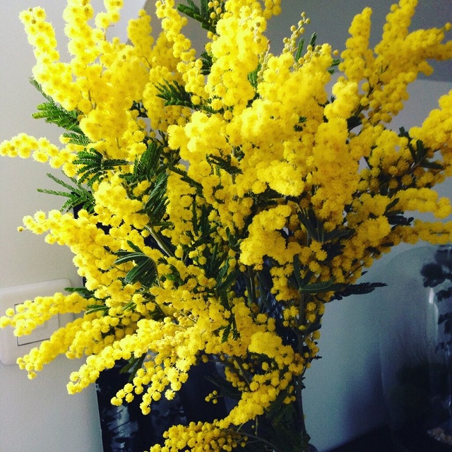 foto 05 03 2021 16 11