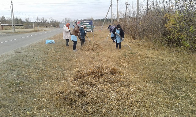 foto 02 11 2020 08 46 4