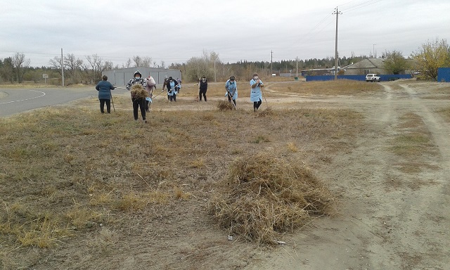 foto 02 11 2020 08 46 5