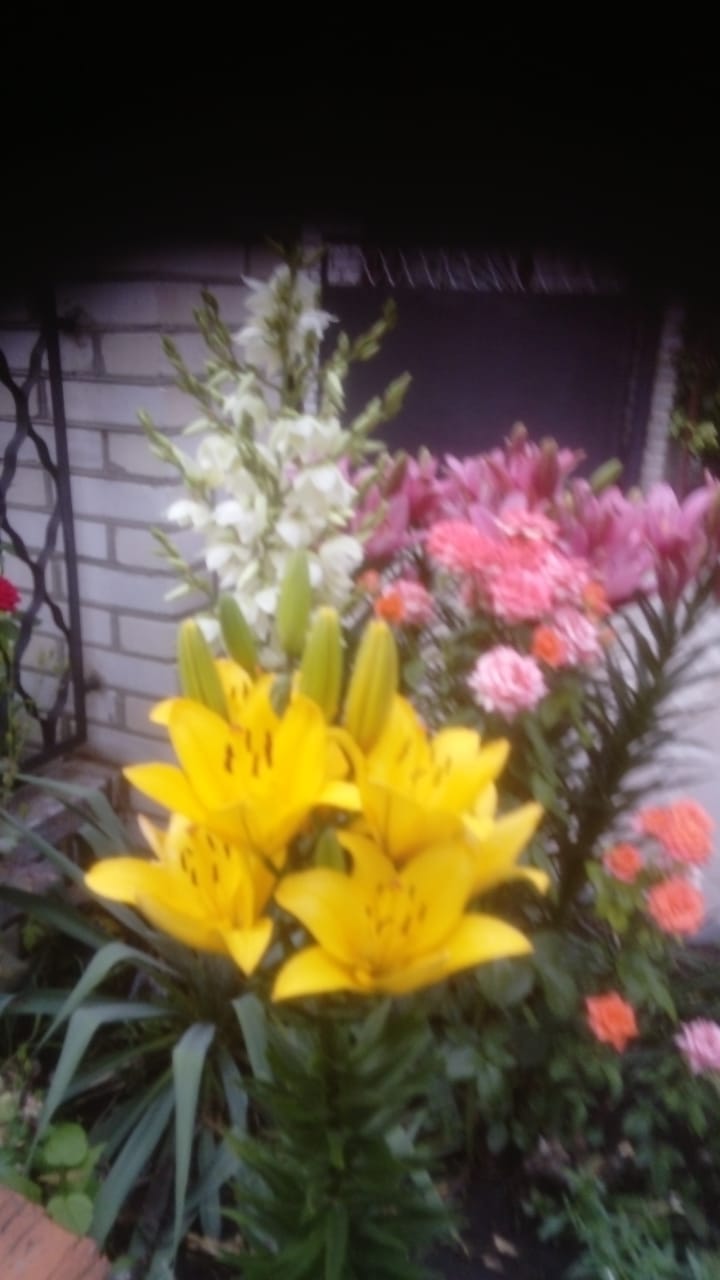 foto 04 12 2020 14 02 12