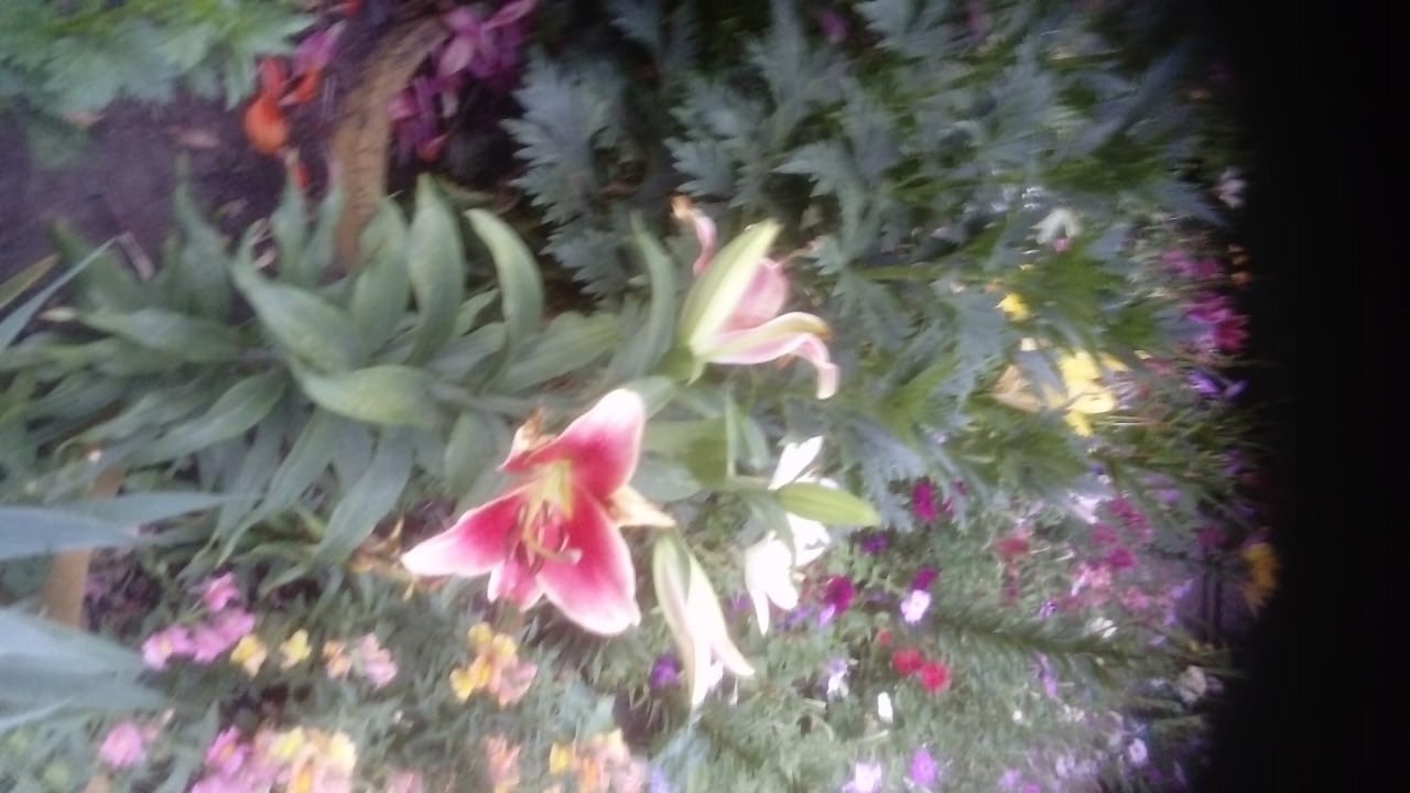 foto 04 12 2020 14 02 16