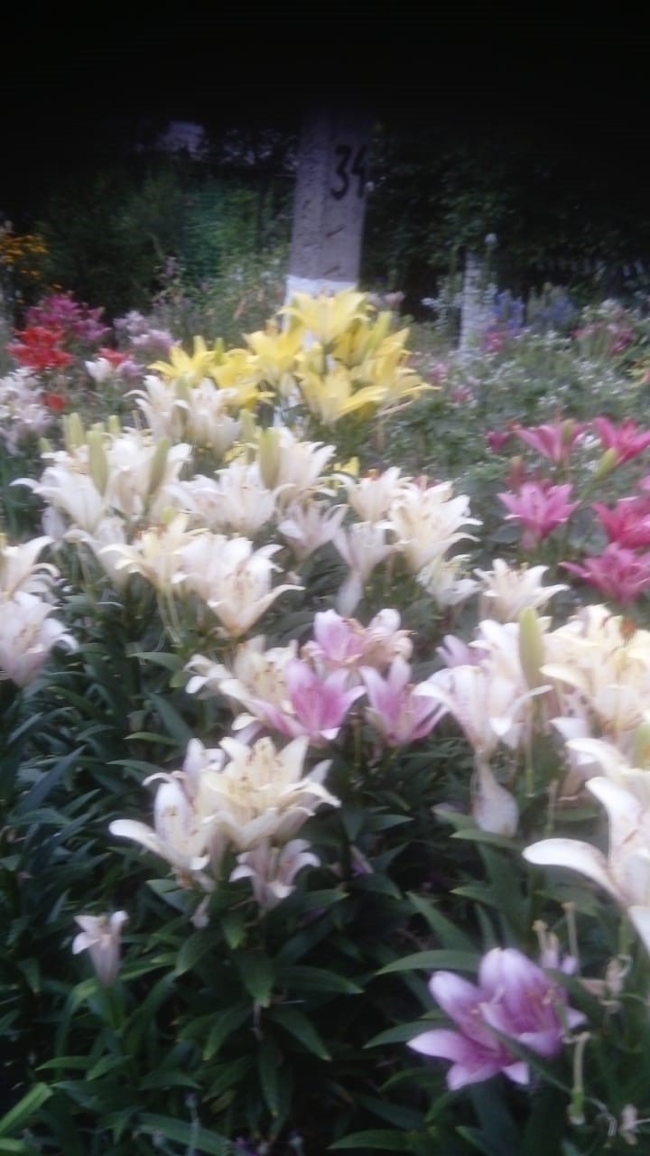 foto 04 12 2020 14 02 19