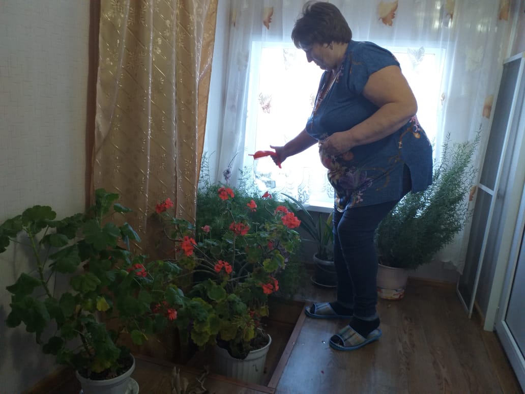 foto 04 12 2020 14 02 8
