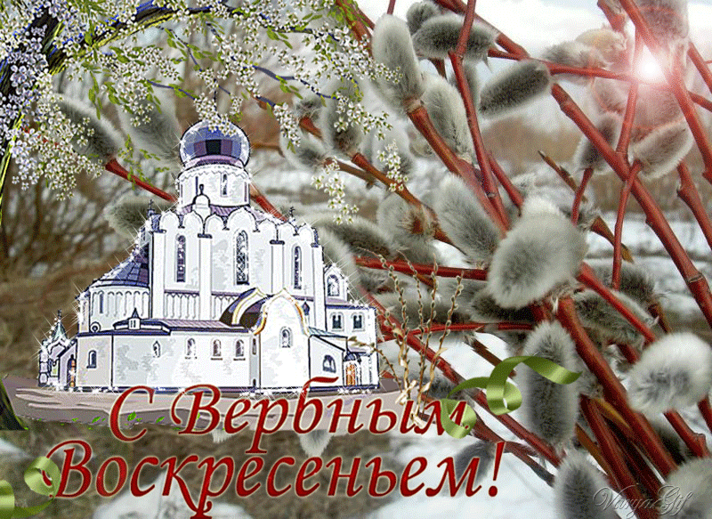 foto 17 04 2020 16 03