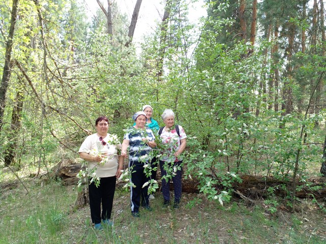 photo 24 04 2025 07