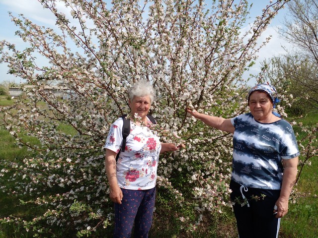 photo 24 04 2025 18