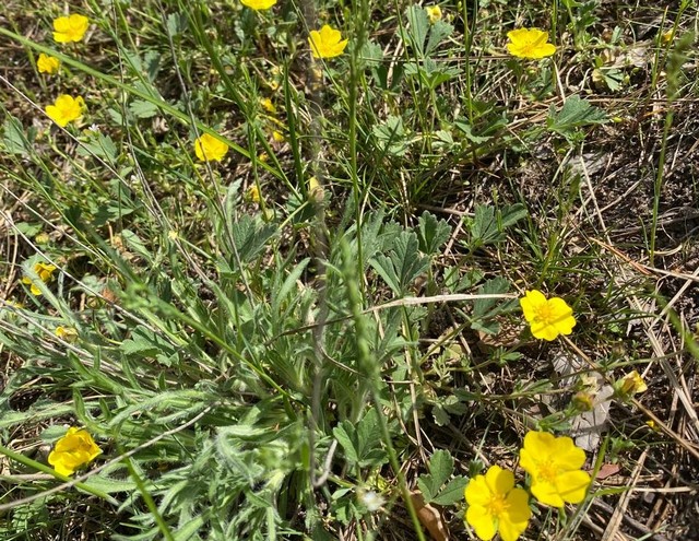 photo 24 04 2025 20