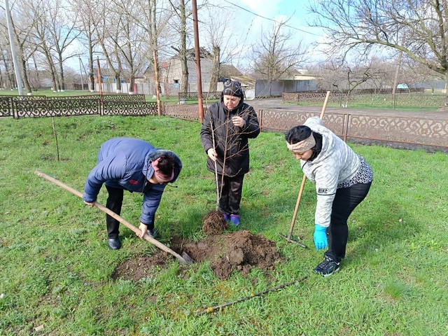 photo 10 04 2025 04