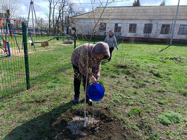 photo 10 04 2025 10